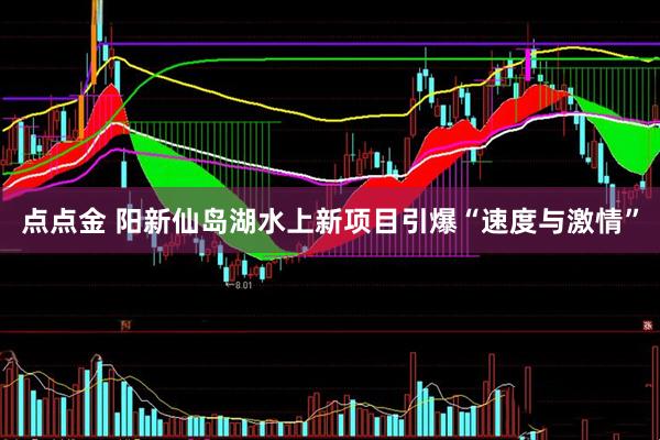 点点金 阳新仙岛湖水上新项目引爆“速度与激情”