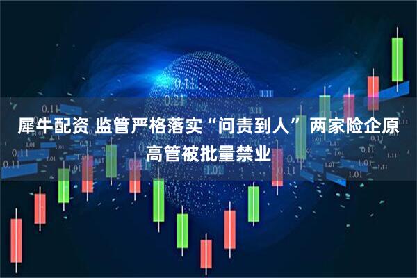 犀牛配资 监管严格落实“问责到人” 两家险企原高管被批量禁业
