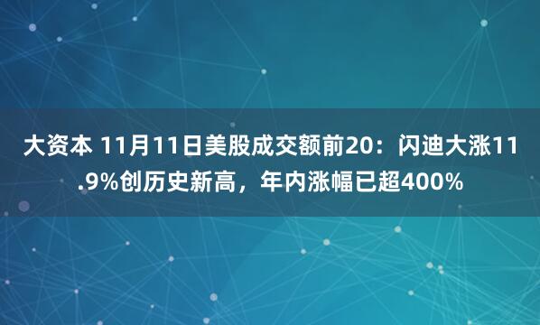 大资本 11月11日美股成交额前20:闪迪大涨11.9%创历史新高,年内涨幅已超400%