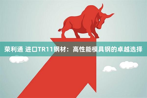 荣利通 进口TR11钢材：高性能模具钢的卓越选择