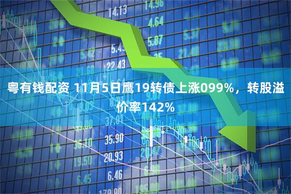 粤有钱配资 11月5日鹰19转债上涨099%，转股溢价率142%