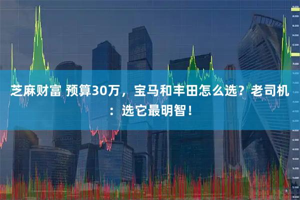 芝麻财富 预算30万，宝马和丰田怎么选？老司机：选它最明智！